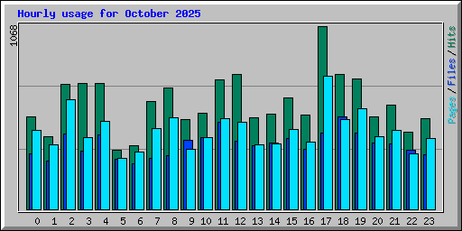 Hourly usage for October 2025