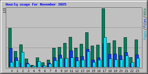Hourly usage for November 2025